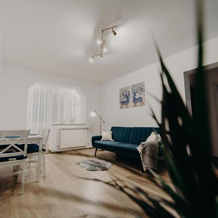 Apartamentul Albastru Ватра-Дорней Экстерьер фото