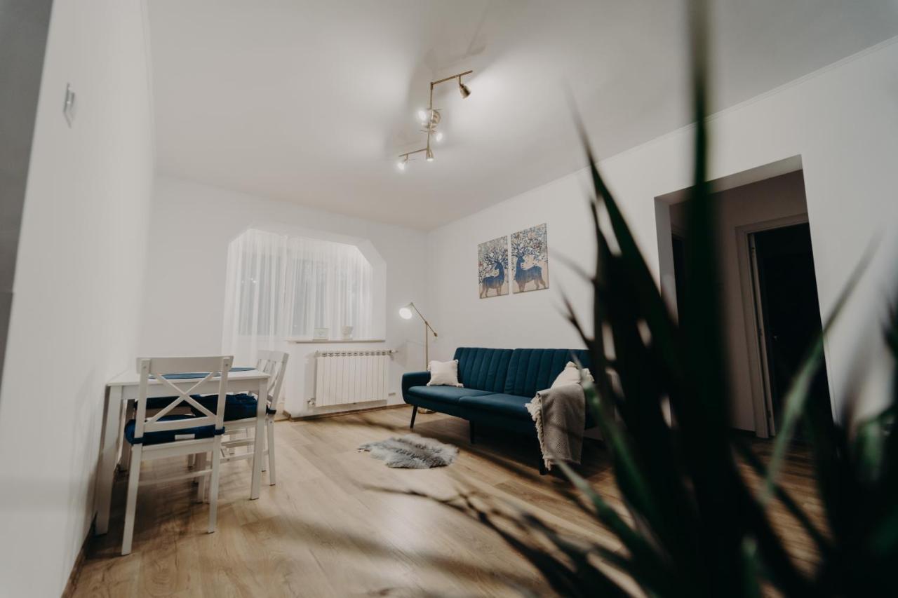 Apartamentul Albastru Ватра-Дорней Экстерьер фото